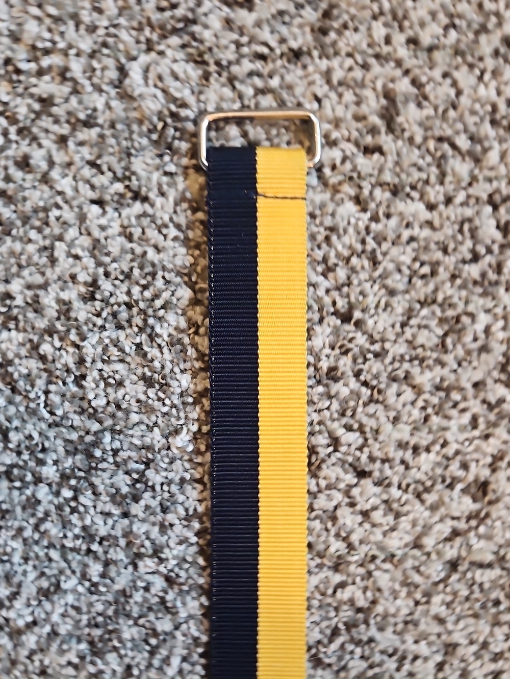 Polo Yellow And Navy Belt